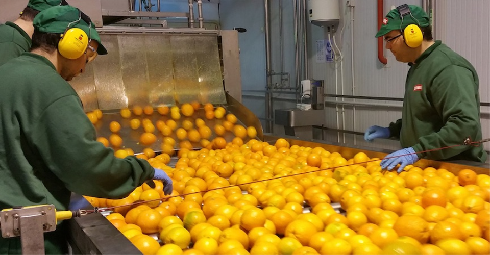 Installing lines and equipment for orange juice concentrates with JBT company