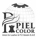 PIEL COLOR